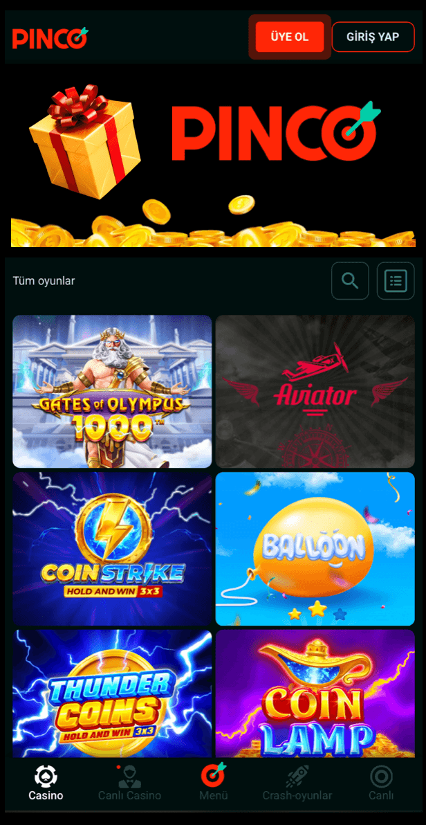 PINCO Screenshot