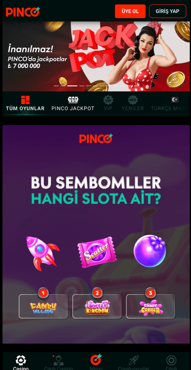 PINCO Screenshot