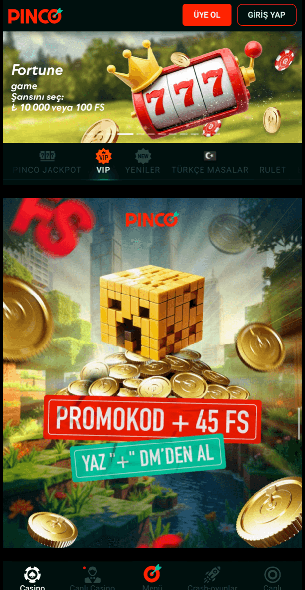 PINCO Screenshot